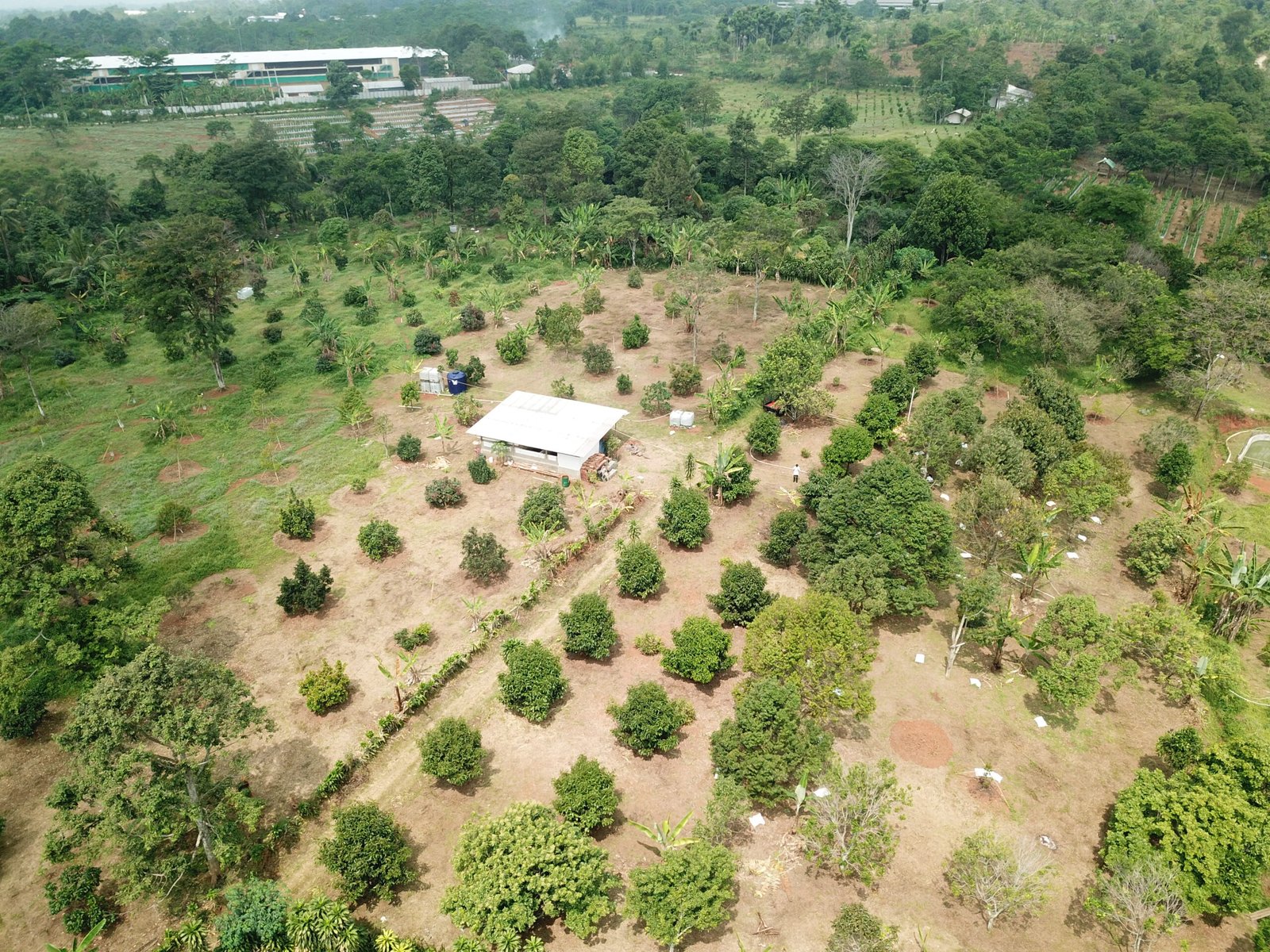 Innovation for Nature, Energy for the Future