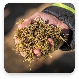 Solutions Organic Fertilizer - Image section 4 image 1