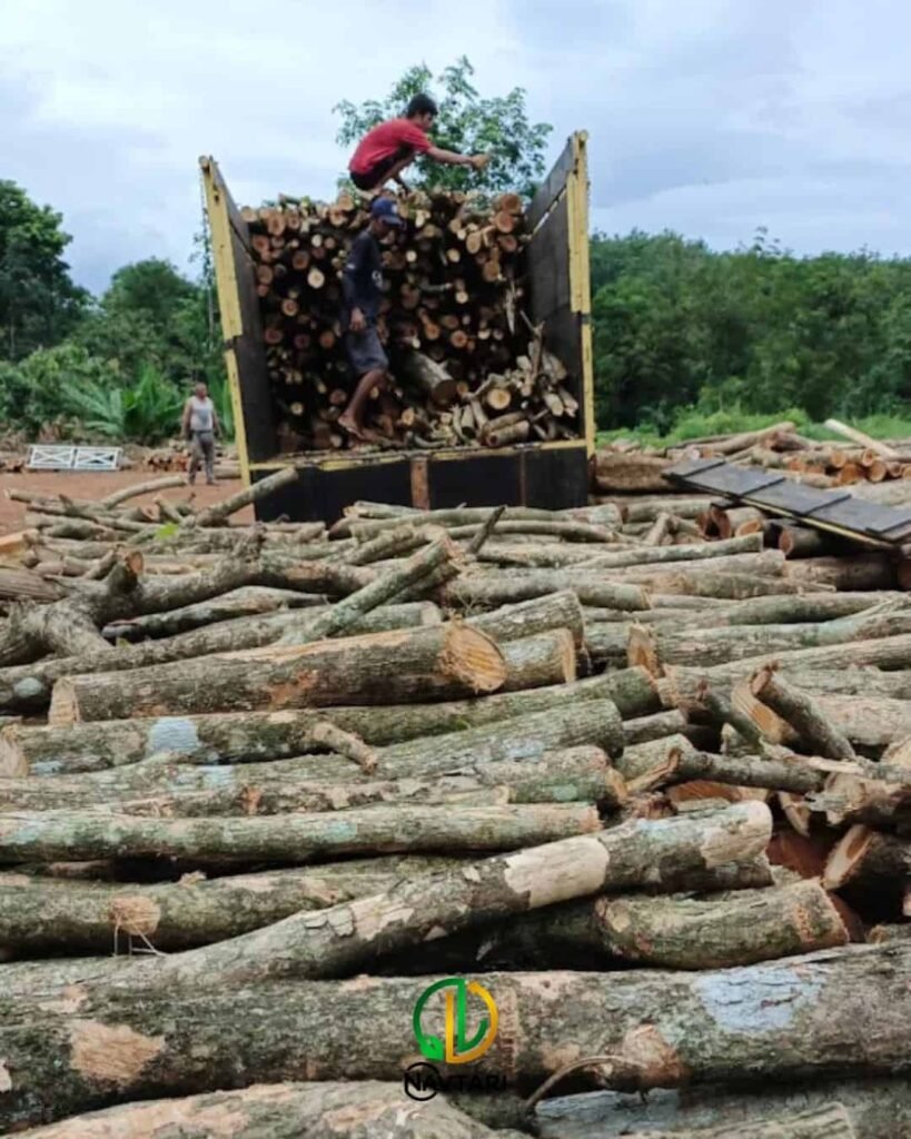 bongkar muatan kayu gelondongan bahan baku woodchips